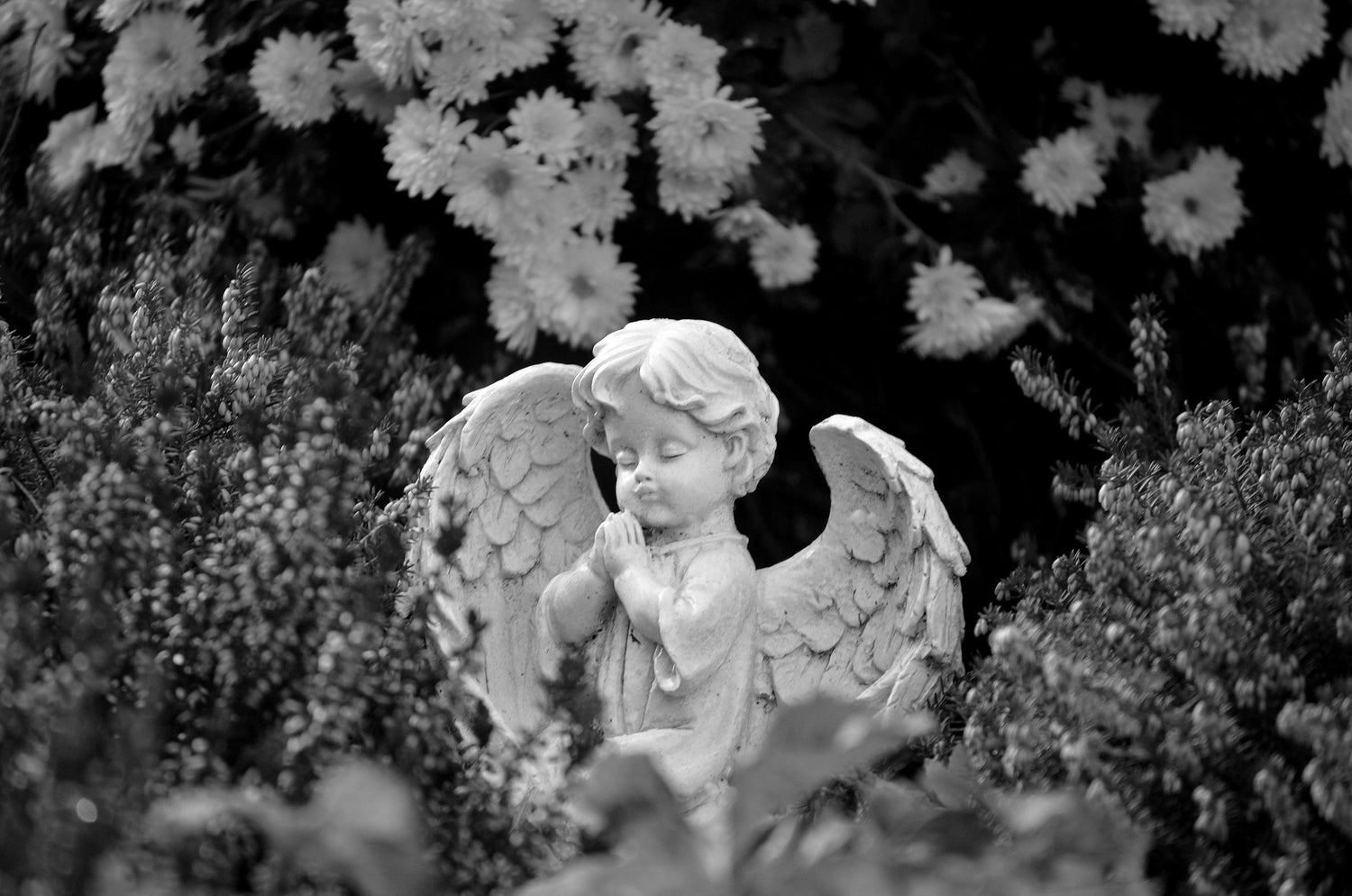 Memorial tributes